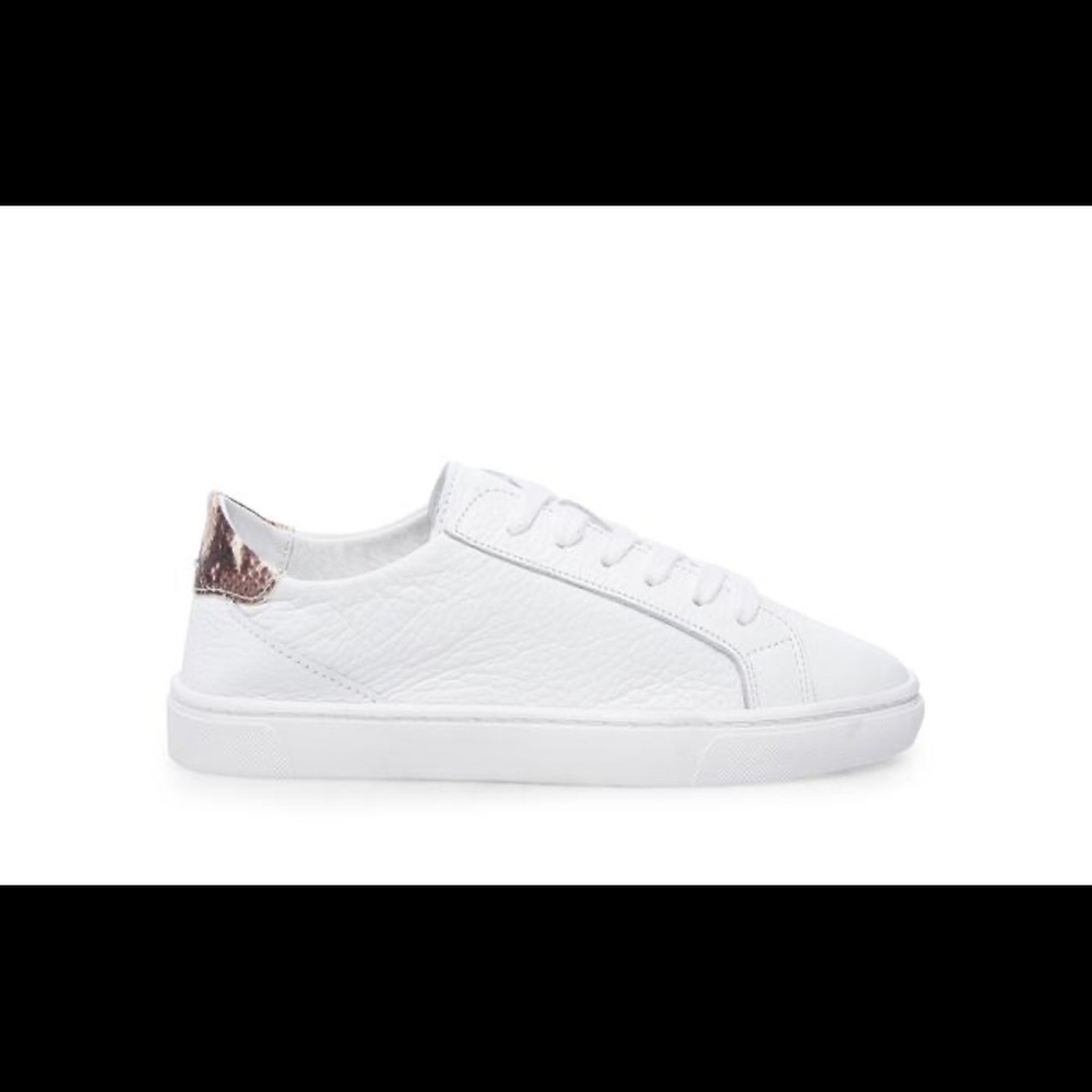 Steve Madden sneaker natural snake